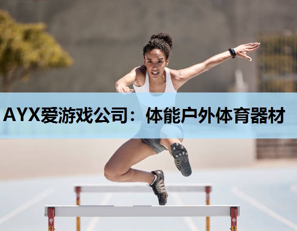AYX爱游戏公司：体能户外体育器材
