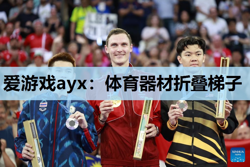 爱游戏ayx：体育器材折叠梯子