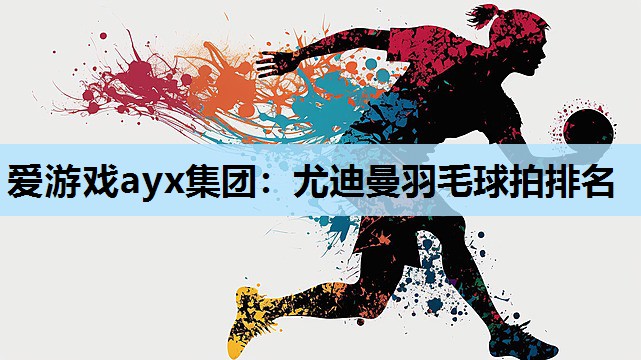 爱游戏ayx集团：尤迪曼羽毛球拍排名