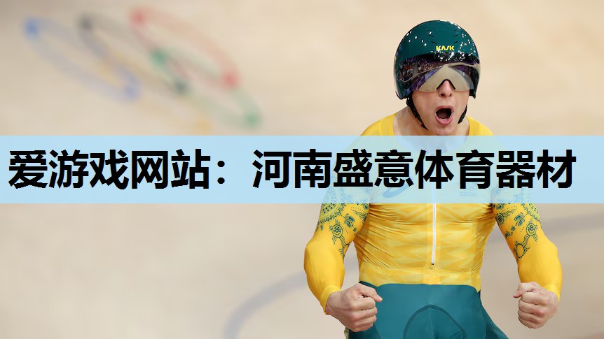 爱游戏网站：河南盛意体育器材