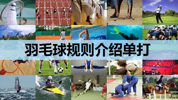 羽毛球规则介绍单打