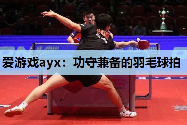 爱游戏ayx：功守兼备的羽毛球拍