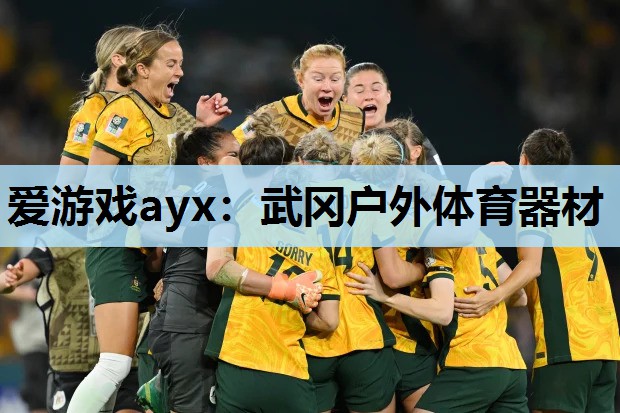 爱游戏ayx：武冈户外体育器材