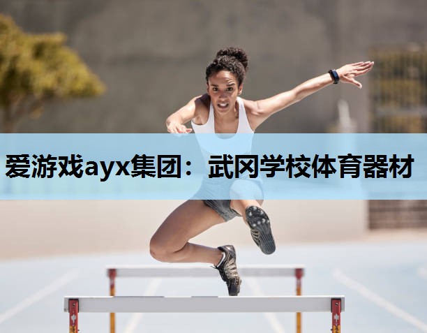 爱游戏ayx集团：武冈学校体育器材
