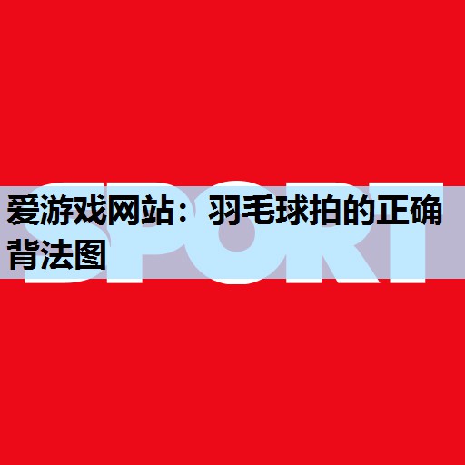 爱游戏网站：羽毛球拍的正确背法图