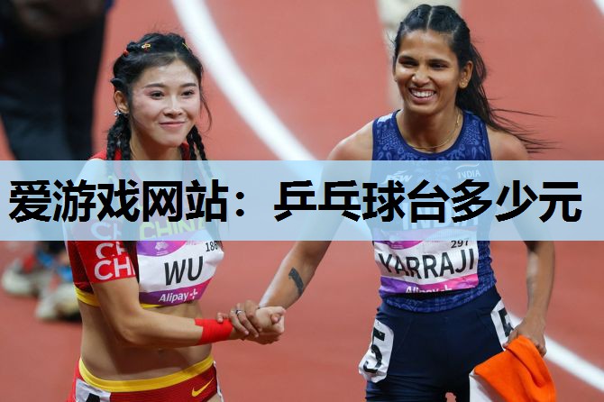 爱游戏网站：乒乓球台多少元