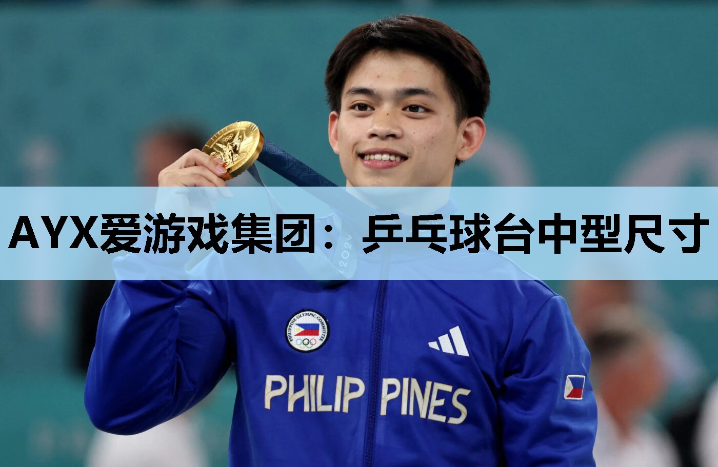 乒乓球台中型尺寸 乒乓球台中型尺寸