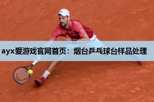 烟台乒乓球台样品处理 烟台乒乓球台样品处理