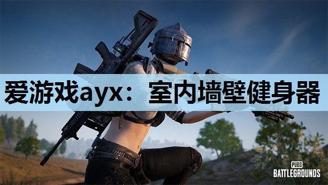 室内墙壁健身器 室内墙壁健身器