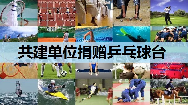 共建单位捐赠乒乓球台 共建单位捐赠乒乓球台