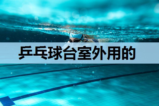 乒乓球台室外用的 乒乓球台室外用的