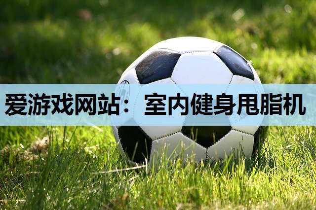 室内健身甩脂机 室内健身甩脂机