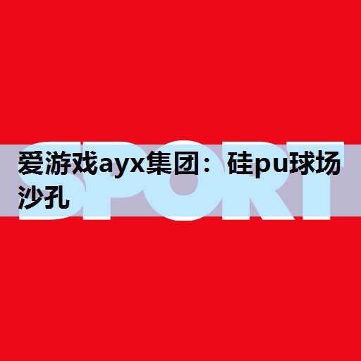 硅pu球场沙孔 硅pu球场沙孔