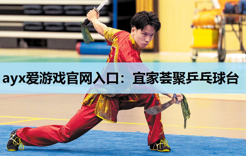 宜家荟聚乒乓球台 宜家荟聚乒乓球台