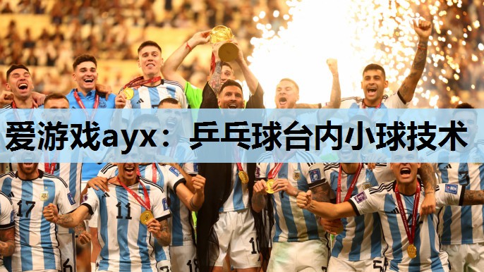 乒乓球台内小球技术 乒乓球台内小球技术