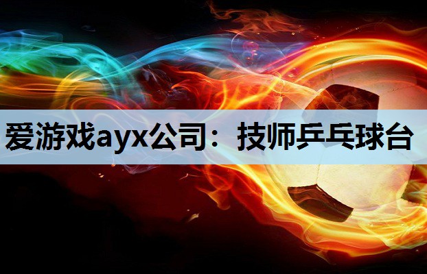 技师乒乓球台 技师乒乓球台