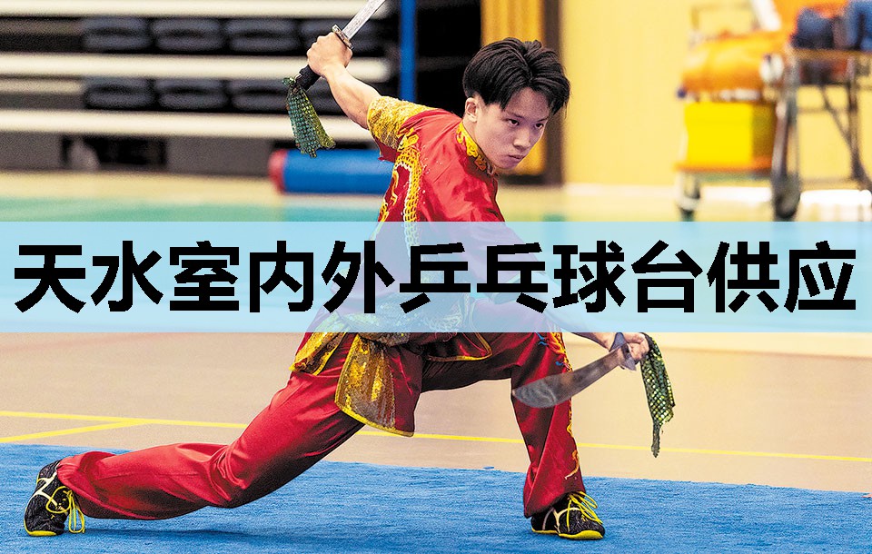 天水室内外乒乓球台供应 天水室内外乒乓球台供应