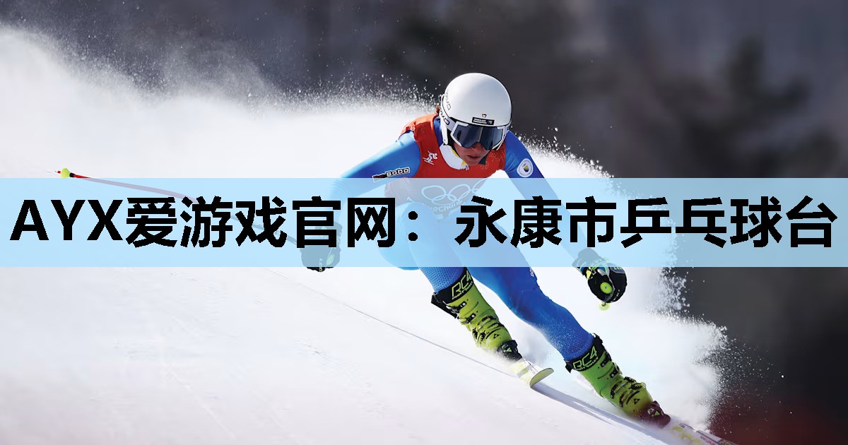 永康市乒乓球台 永康市乒乓球台
