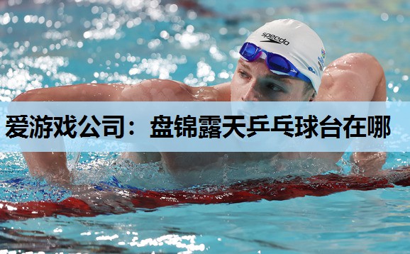 盘锦露天乒乓球台在哪 盘锦露天乒乓球台在哪