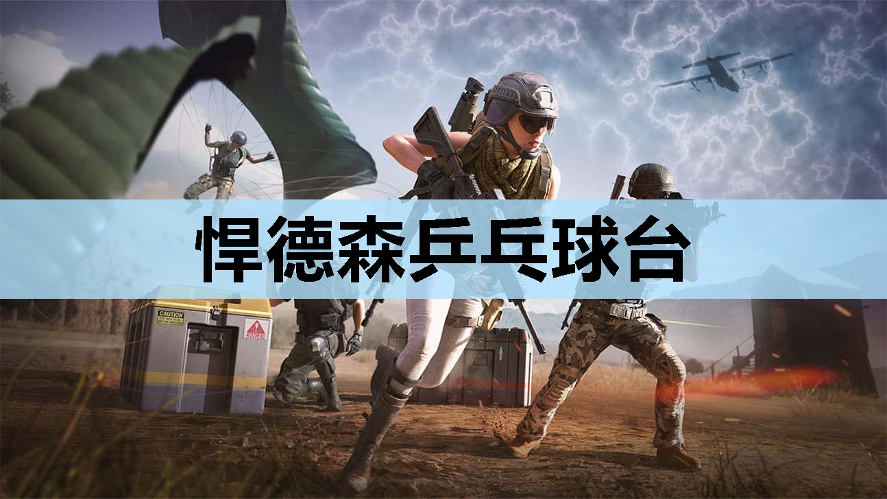 悍德森乒乓球台 悍德森乒乓球台