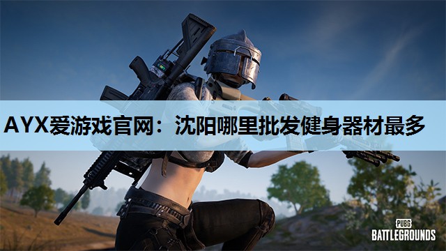 沈阳哪里批发健身器材最多 沈阳哪里批发健身器材最多