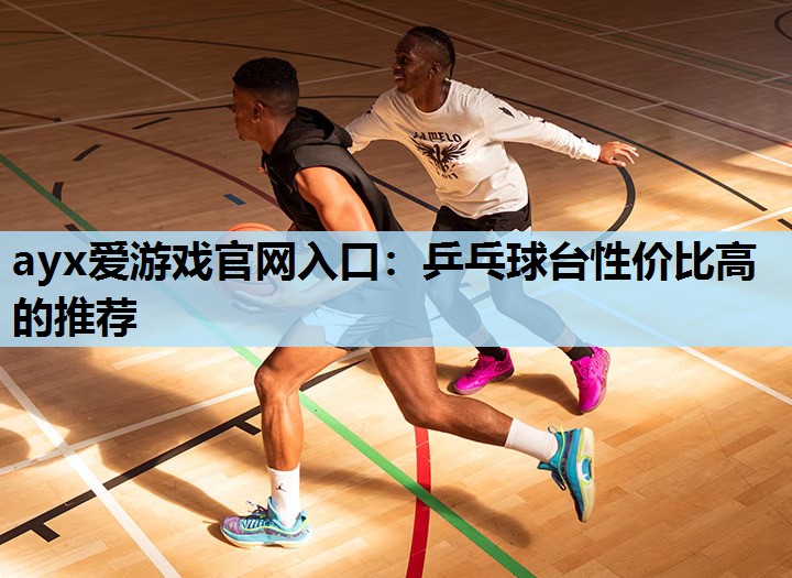 乒乓球台性价比高的推荐 乒乓球台性价比高的推荐