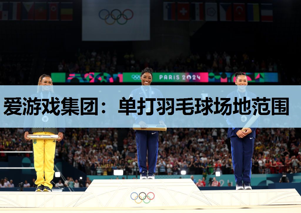 单打羽毛球场地范围 单打羽毛球场地范围