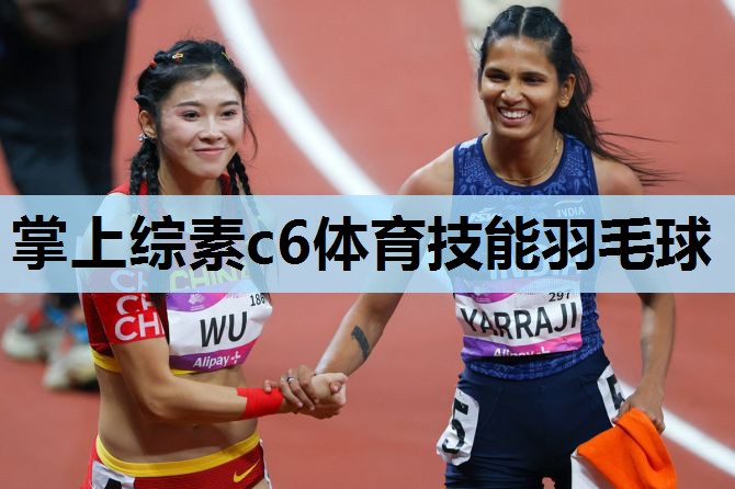 掌上综素c6体育技能羽毛球 掌上综素c6体育技能羽毛球