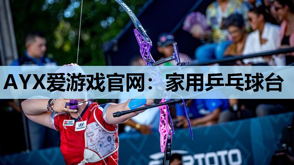 家用乒乓球台 家用乒乓球台
