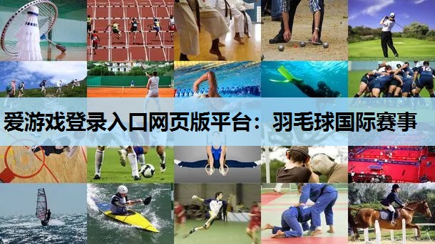 羽毛球国际赛事 羽毛球国际赛事