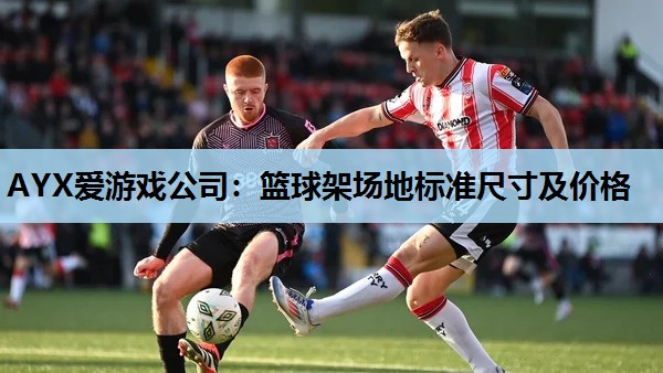 篮球架场地标准尺寸及价格 篮球架场地标准尺寸及价格
