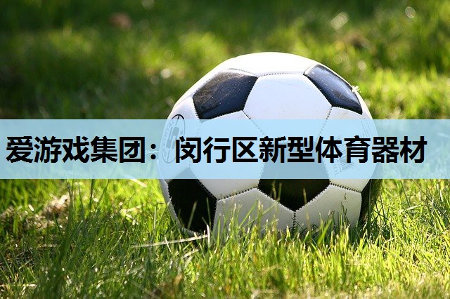 闵行区新型体育器材 闵行区新型体育器材