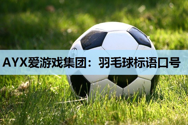 羽毛球标语口号 羽毛球标语口号