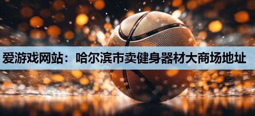 哈尔滨市卖健身器材大商场地址 哈尔滨市卖健身器材大商场地址