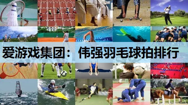 伟强羽毛球拍排行 伟强羽毛球拍排行
