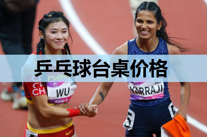 乒乓球台桌价格 乒乓球台桌价格