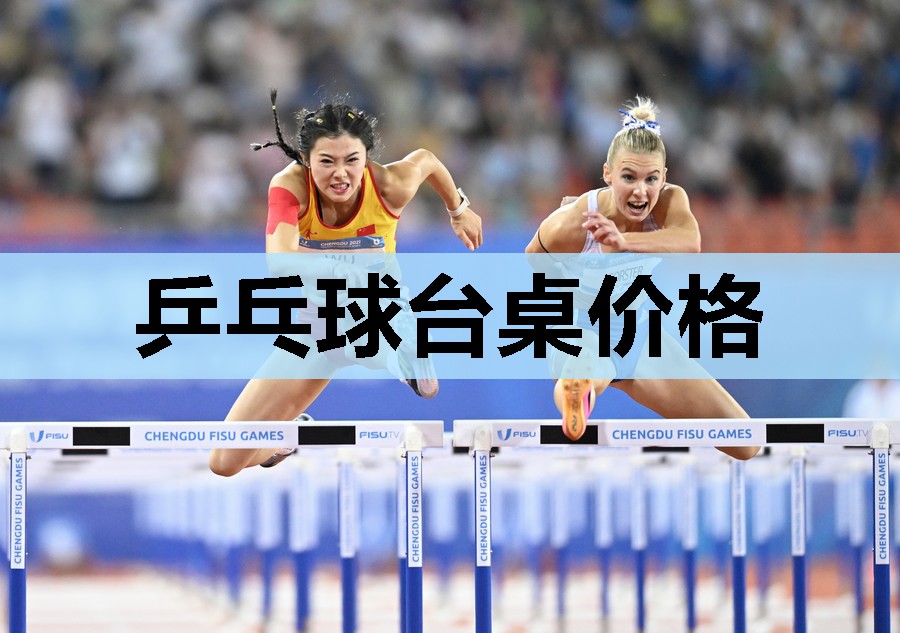 乒乓球台桌价格 乒乓球台桌价格