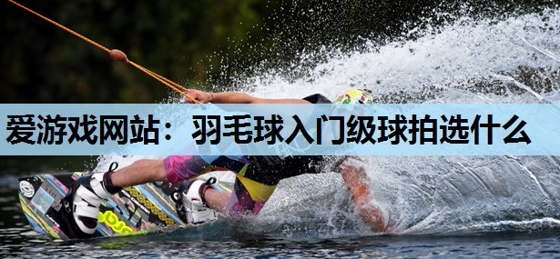 羽毛球入门级球拍选什么 羽毛球入门级球拍选什么