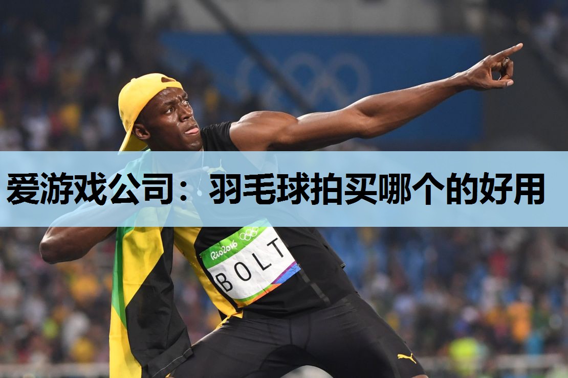 羽毛球拍买哪个的好用 羽毛球拍买哪个的好用