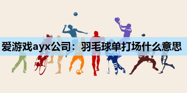 羽毛球单打场什么意思 羽毛球单打场什么意思